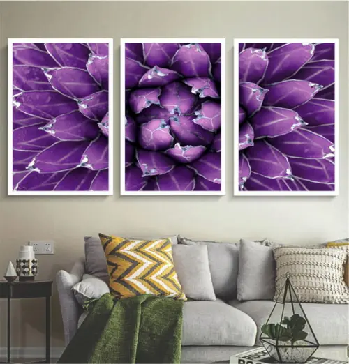 Kit 3 Quadros Decorativos Flores Suculenta Para Sala Moldura