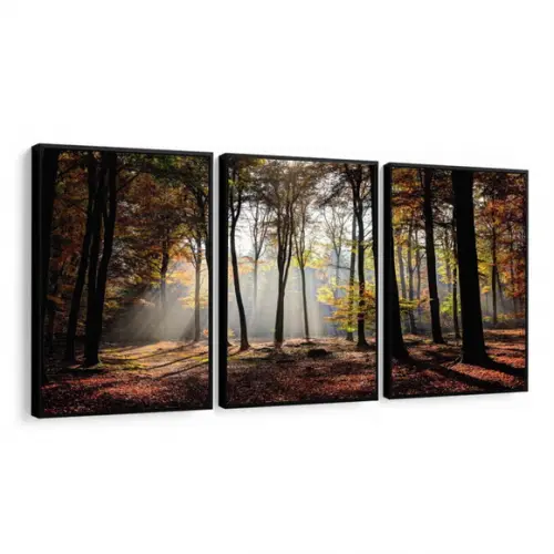 Kit 3 Quadros Decorativos Floresta Paisagem Arvore Moldura