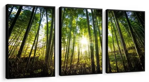 Kit 3 Quadros Decorativos Floresta Verde Paisagem Moldura