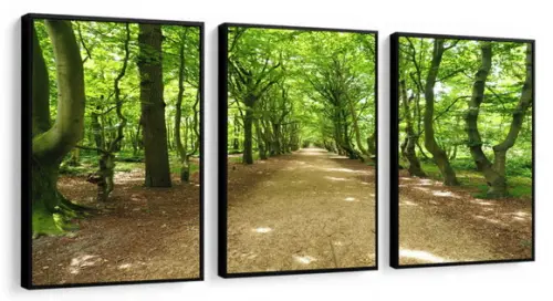 Kit 3 Quadros Decorativos Floresta Verde Paisagem Moldura