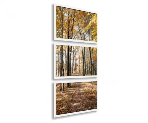 Kit 3 Quadros Decorativos Floresta Vertical Botânico Moldura
