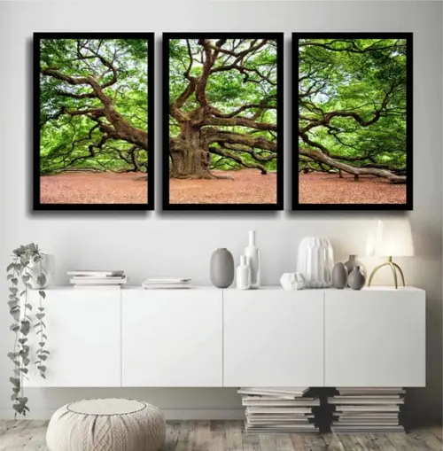 Kit 3 Quadros Decorativos Florestas Arvores Botânico Moldura