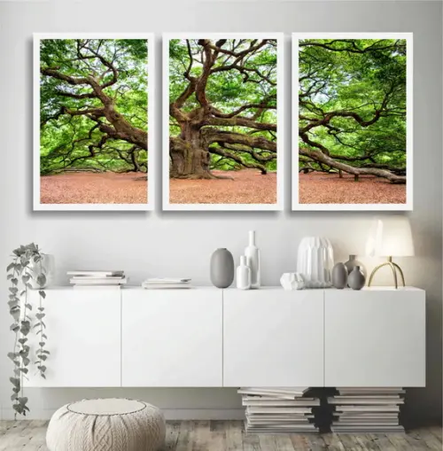 Kit 3 Quadros Decorativos Florestas Arvore Botânico Moldura