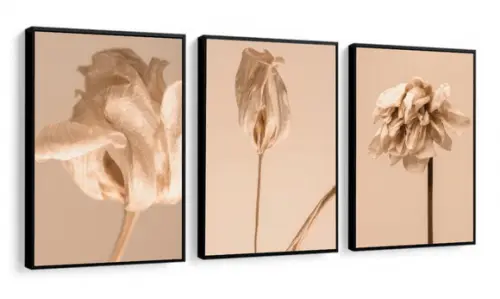 Kit 3 Quadros Decorativos Folhagem Bege Para Sala Moldura