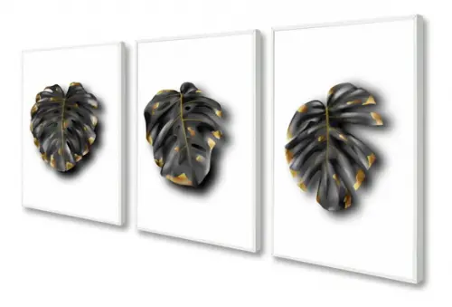 Kit 3 Quadros Decorativos Folhagem Costela De Adão Moldura
