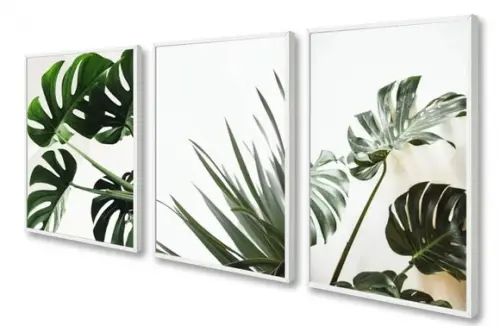 Kit 3 Quadros Decorativos Folhagem Costela De Adão Moldura