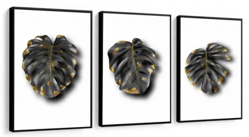 Kit 3 Quadros Decorativos Folhagem Costela De Adão Sala Hall