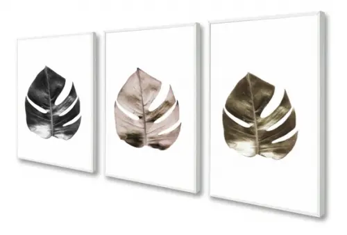 Kit 3 Quadros Decorativos Folhagem Monstera Moderno Moldura