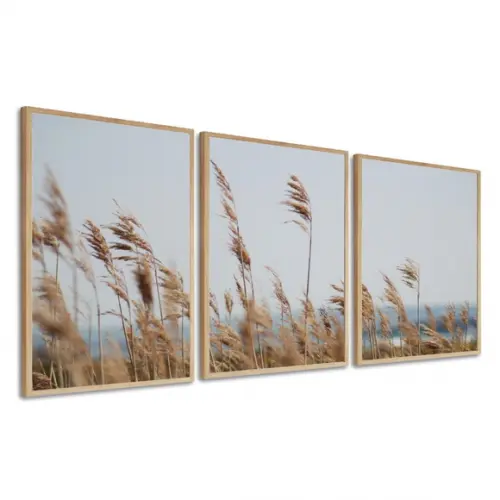 Kit 3 Quadros Decorativos Folhagem Para Sala Quarto Moldura