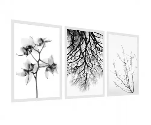 Kit 3 Quadros Decorativos Folhagem Preto e Branco Botânico