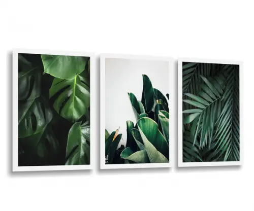 Kit 3 Quadros Decorativos Folhagem Verde Botânico Moldura