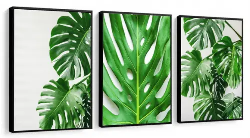 Kit 3 Quadros Decorativos Folhagem Verde Conjunto Moldura