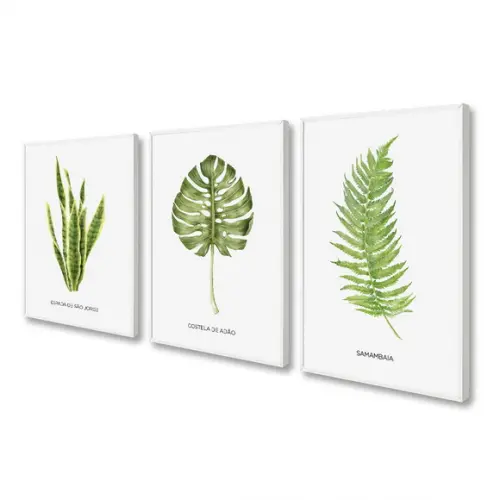 Kit 3 Quadros Decorativos Folhagem Verde Frases Com Moldura