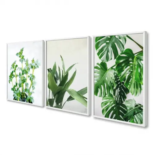 Kit 3 Quadros Decorativos Folhagem Verde Moderna com Moldura