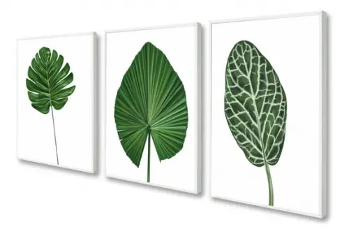 Kit 3 Quadros Decorativos Folhagem Verde Para Sala Moldura