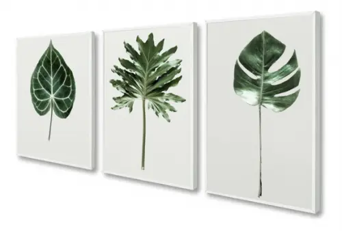 Kit 3 Quadros Decorativos Folhagem Verde Para Sala Moldura