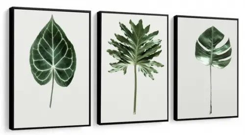 Kit 3 Quadros Decorativos Folhagem Verde Para Sala Quarto