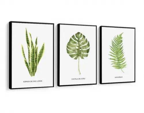Kit 3 Quadros Decorativos Folhagem Verde Plantas Com Moldura