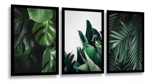 Kit 3 Quadros Decorativos Folhagens Botânico Verde Molduras