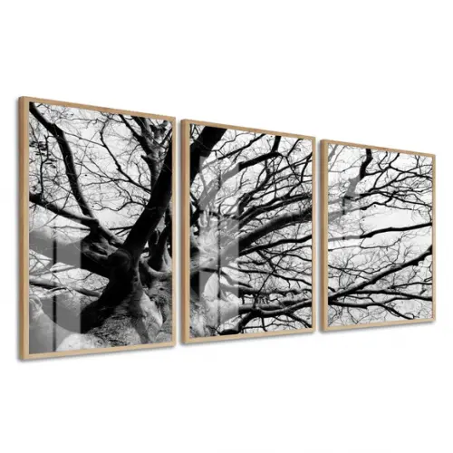 Kit 3 Quadros Decorativos Galhos para Sala com Moldura Vidro