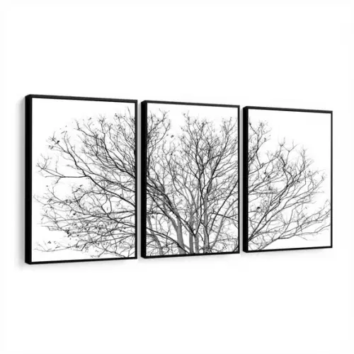 Kit 3 Quadros Decorativos Galhos Preto e Branco Com Moldura