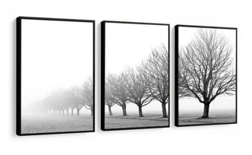 Kit 3 Quadros Decorativos Galhos Preto e Branco Com Moldura
