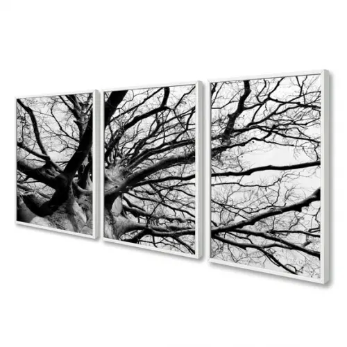 Kit 3 Quadros Decorativos Galhos Preto E Branco Com Moldura