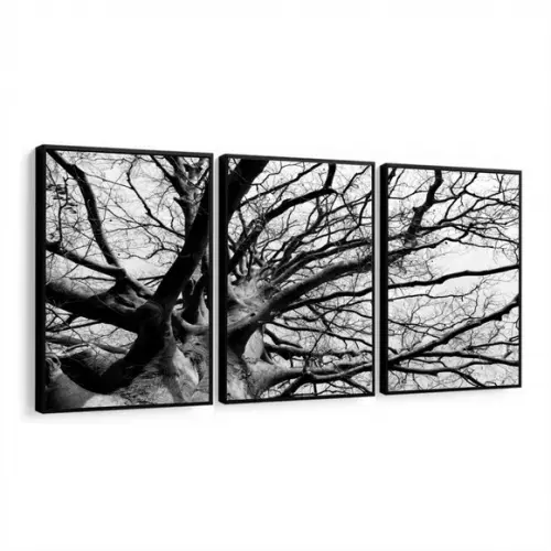 Kit 3 Quadros Decorativos Galhos Preto E Branco Com Moldura