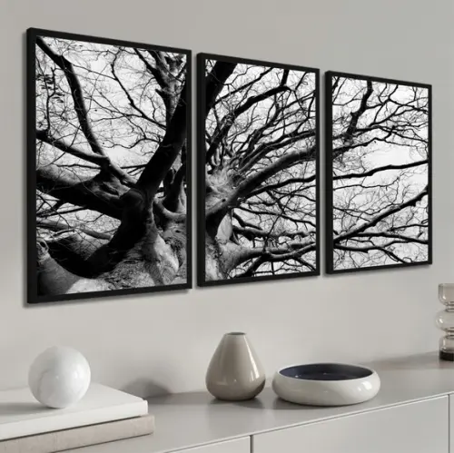 Kit 3 Quadros Decorativos Galhos Preto E Branco Com Moldura