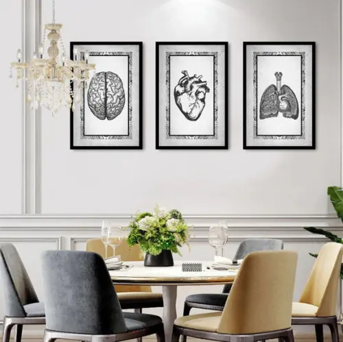 Kit 3 Quadros Decorativos Medicina Anatomia Moderno Moldura