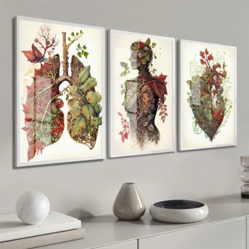 Kit 3 Quadros Decorativos Medicina Anatomia Moldura e Vidro