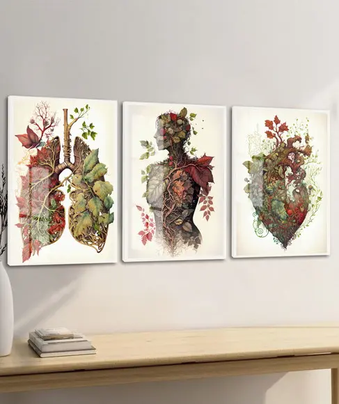 Kit 3 Quadros Decorativos Medicina Anatomia Moldura e Vidro