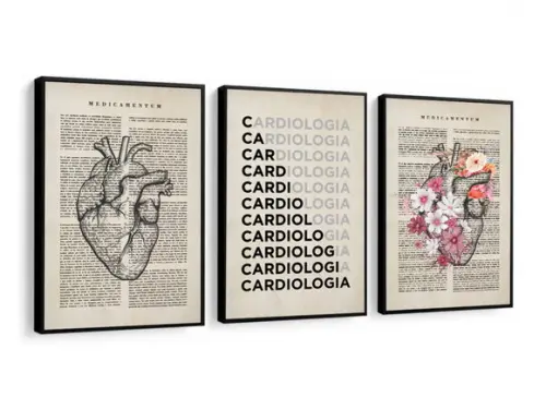 Kit 3 Quadros Decorativos Medicina Cardiologia Com Moldura