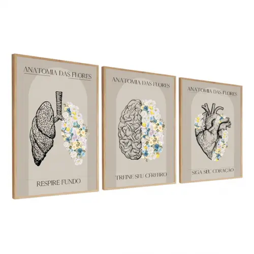 Kit 3 Quadros Decorativos Medicina Consultório Com Moldura