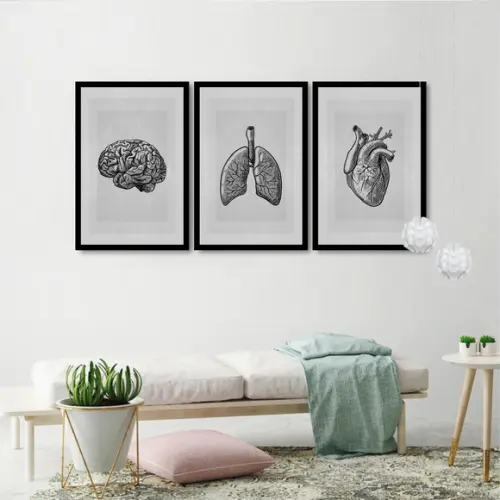 Kit 3 Quadros Decorativos Medicina Consultório Com Moldura