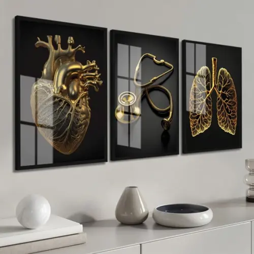Kit 3 Quadros Decorativos Medicina Coração Moldura e Vidro