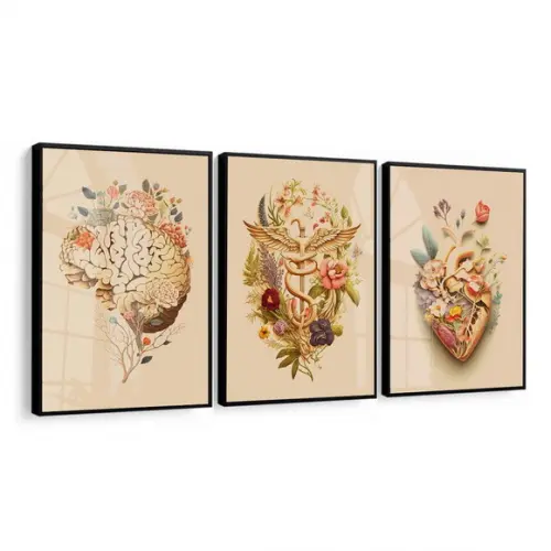 Kit 3 Quadros Decorativos Medicina Consultório Moldura Vidro