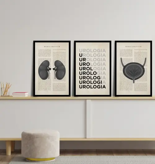 Kit 3 Quadros Decorativos Medicina Urologia Anatomia Moldura