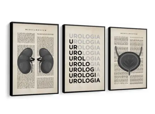 Kit 3 Quadros Decorativos Medicina Urologia Anatomia Moldura
