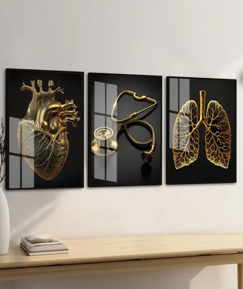 Kit 3 Quadros Decorativos Medicina Coração Moldura e Vidro