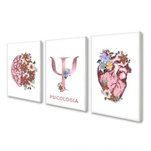 Kit 3 Quadros Decorativos Moderno Psicologia Cérebro Moldura