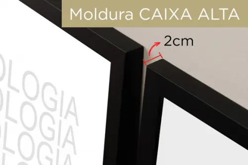 Kit 3 Quadros Decorativos Moderno Psicologia Cérebro Moldura