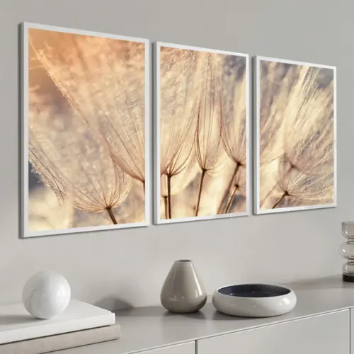 Kit 3 Quadros Decorativos Modernos Dente de Leão com Moldura