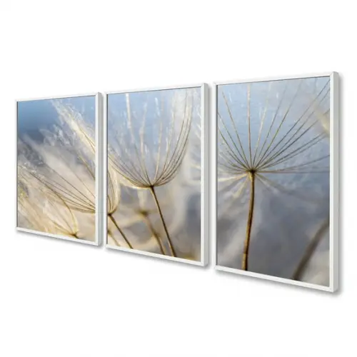Kit 3 Quadros Decorativos Modernos Dente de Leão com Moldura