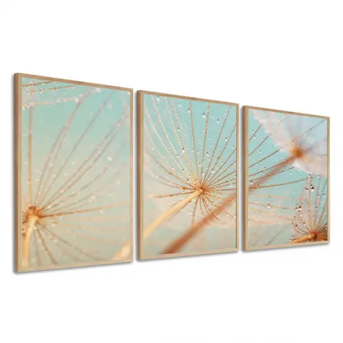 Kit 3 Quadros Decorativos Modernos Dente De Leão Com Moldura