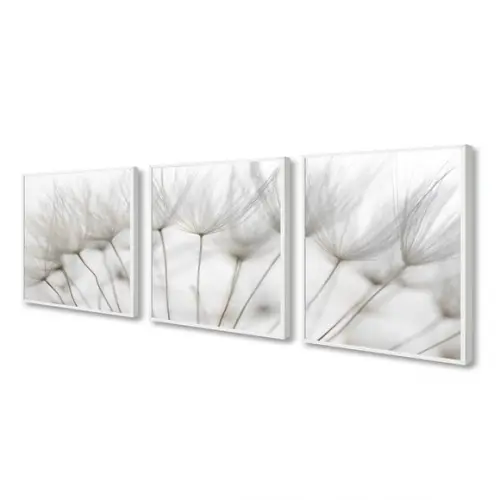 Kit 3 Quadros Decorativos Modernos Dente De Leão Com Moldura