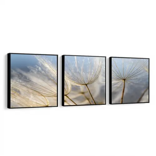Kit 3 Quadros Decorativos Modernos Dente De Leão Com Moldura
