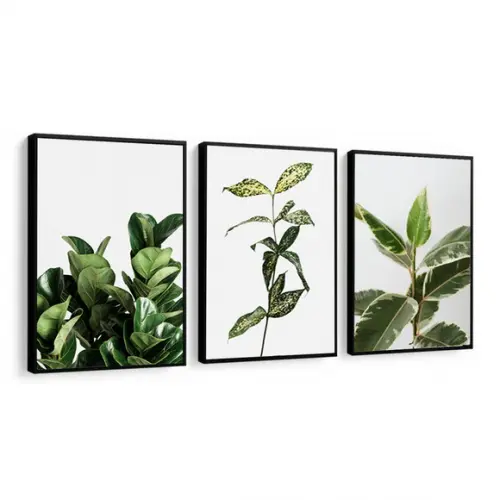 Kit 3 Quadros Decorativos Modernos Folhagem Verde Moldura