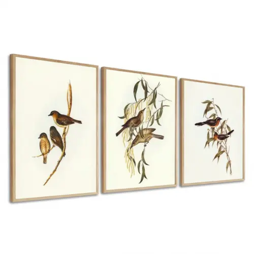 Kit 3 Quadros Decorativos Modernos Pássaros Sala Com Moldura