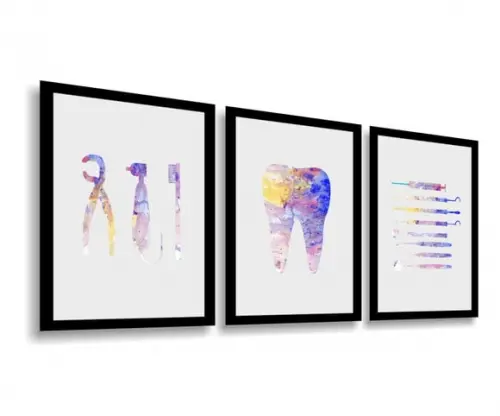 Kit 3 Quadros Decorativos Odontologia Consultório Moldura